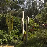 Casa Pedro 拉哈雷斯