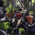 Casa Pedro