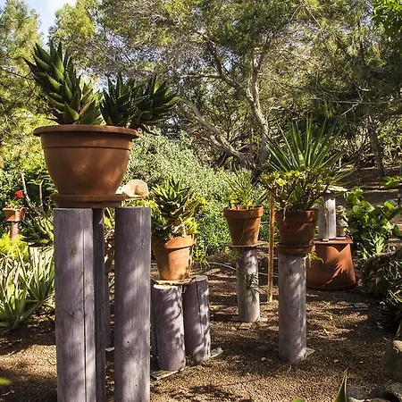 Casa Pedro * 拉哈雷斯