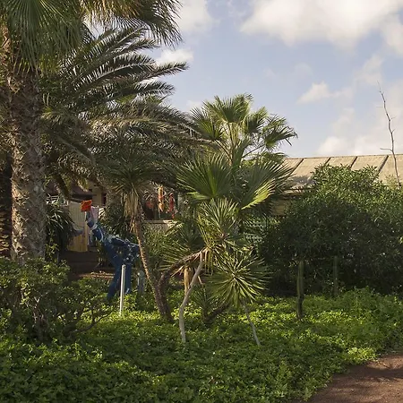 Casa Pedro 住宿加早餐酒店 *