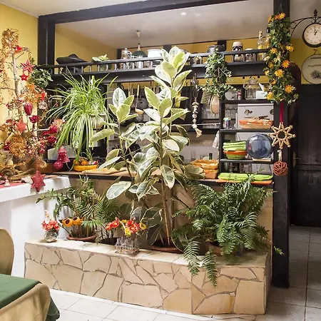 לינה וארוחת בוקר Casa Pedro לאחארס