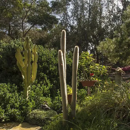 Casa Pedro לאחארס